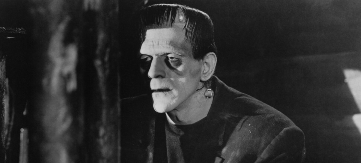 Frankenstein - Boris Karloff - kadr z filmu 