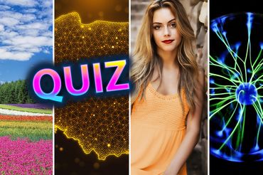 Quiz