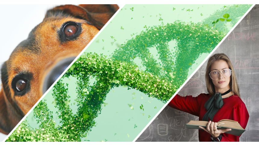 Quiz z podstaw nauki