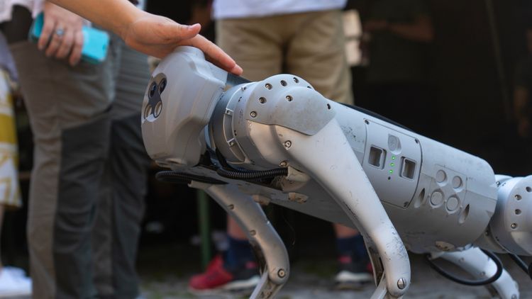 Robot