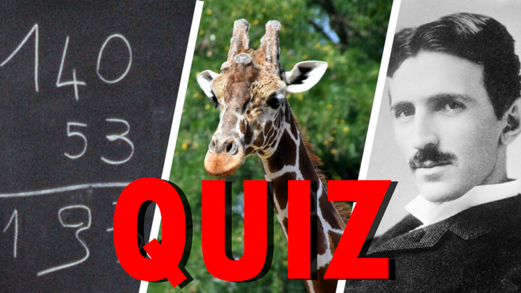 Matematyka, żyrafa, Nikola Tesla