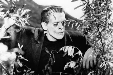 Frankenstein - Boris Karloff - kadr z filmu
