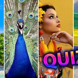 Quiz