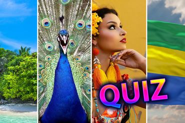 Quiz