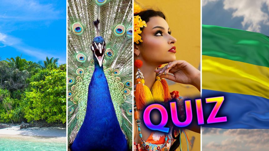 Quiz