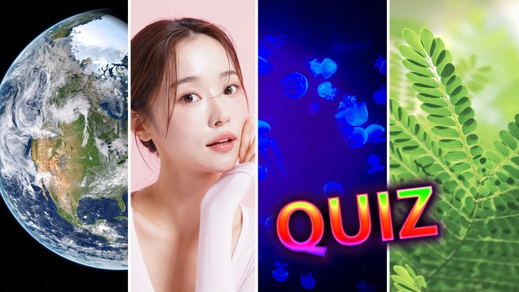 Quiz
