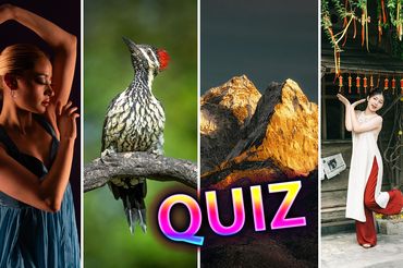 Quiz