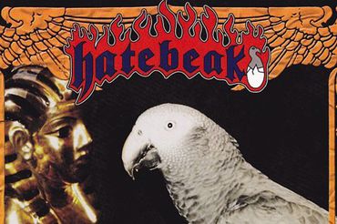 Hatebeak Bird Seeds Of Vengeance - okładka płyty