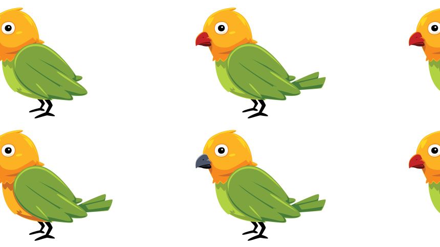 Obrazkowy test z ptakami