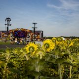 Pol'and'Rock Festival