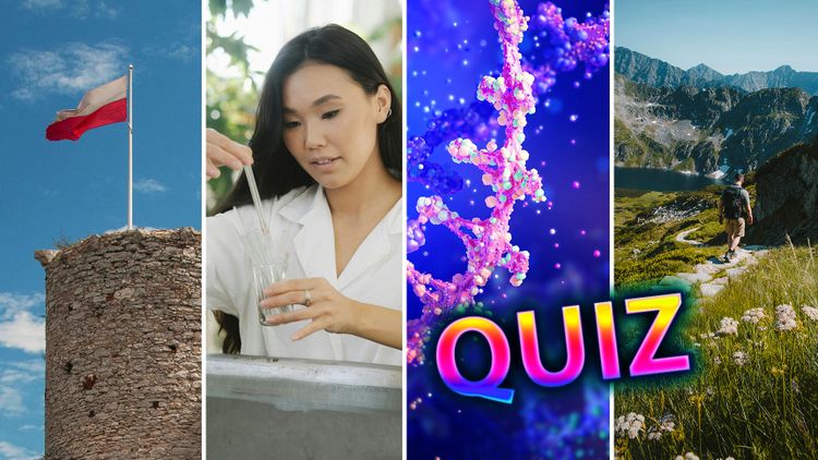 Quiz