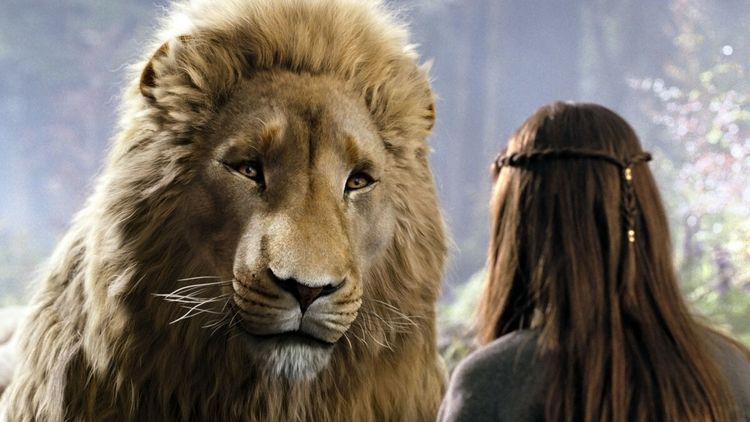 Opowieści z Narnii: Książę Kaspian - kadr z filmu