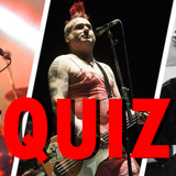 Dezerter, NOFX, Sex Pistols
