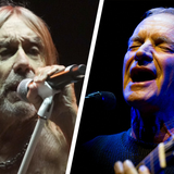 Iggy Pop, Sting