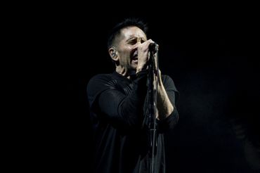 Nine Inch Nails - Trent Reznor