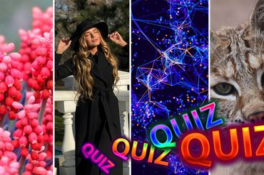 IQ test