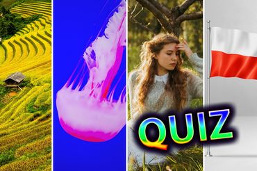 Quiz