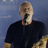 David Gilmour