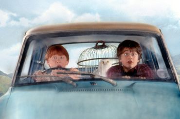 Rupert Grint, Daniel Radcliffe - kadr z filmu Harry Potter i Komnata Tajemnic