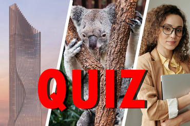 Koala, Burj Khalifa, inteligentna kobieta - materiały poglądowe