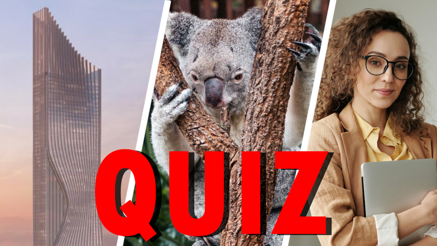 Koala, Burj Khalifa, inteligentna kobieta - materiały poglądowe