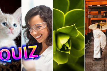 Quiz