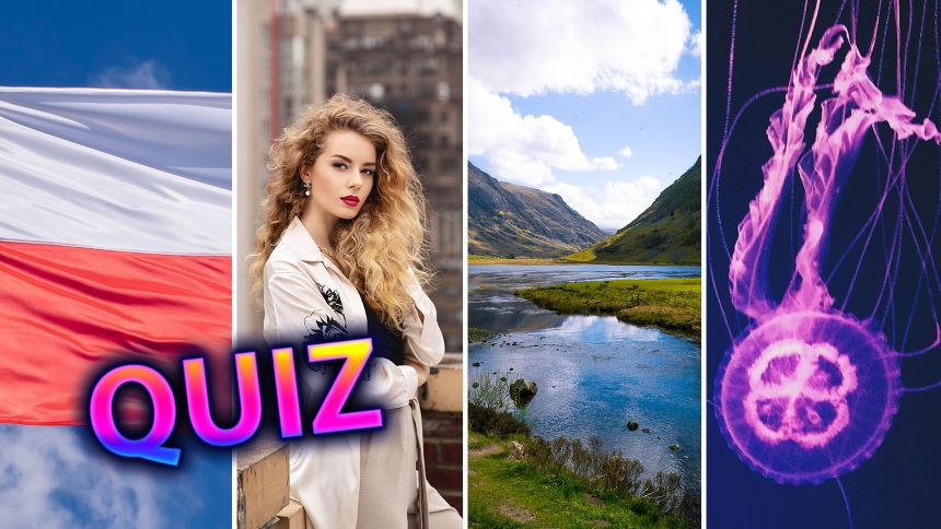 IQ quiz
