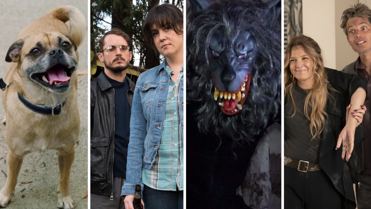 It’s Bruno!, I Don't Feel at Home in This World Anymore, Dziwak, Santa Clarita Diet - kadry z produkcji Netflix
