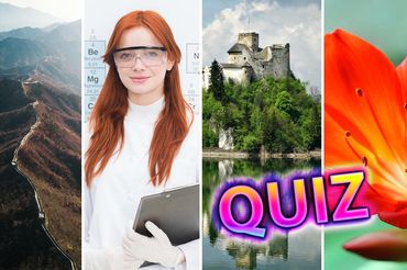Quiz dla inteligentnego Polaka