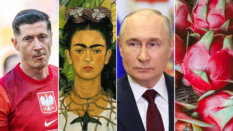 Quiz z wiedzy ogólnej. Dasz radę?