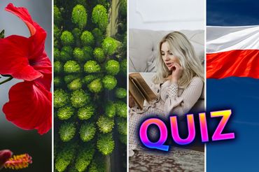 Quiz