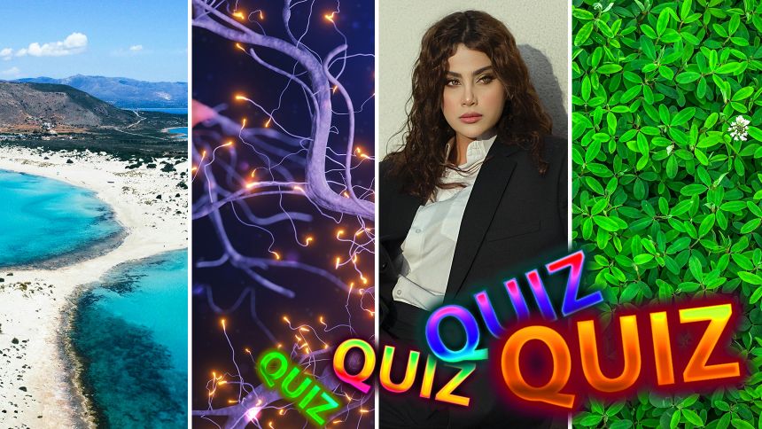 Quiz