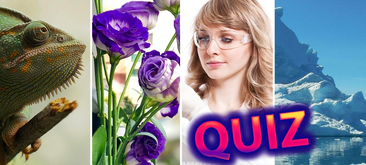 Quiz