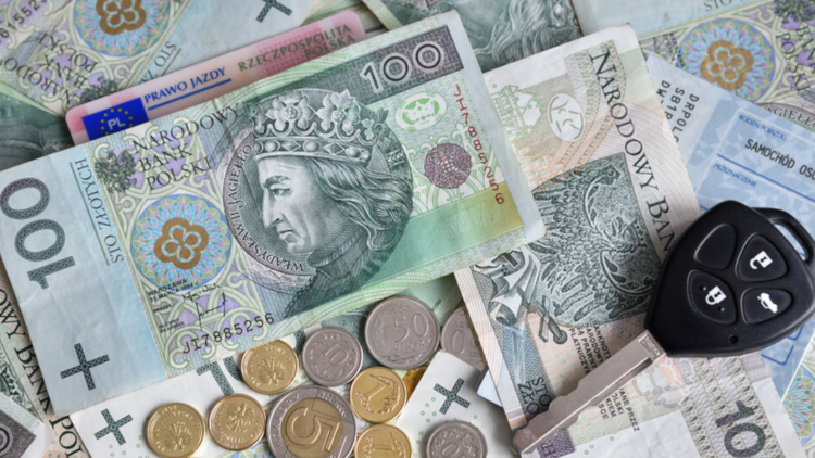 Prawo jazdy i pieniądze - materiał poglądowy