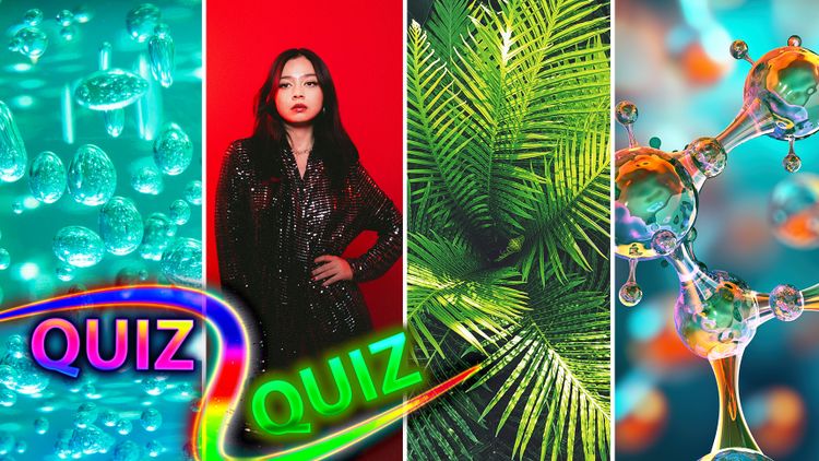 Quiz na IQ