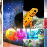 Quiz dla bystrych