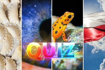 Quiz dla bystrych