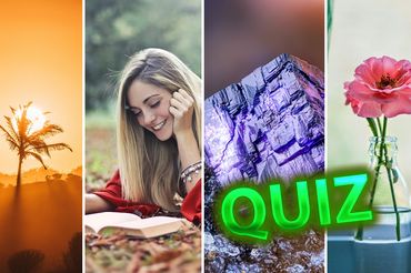Quiz