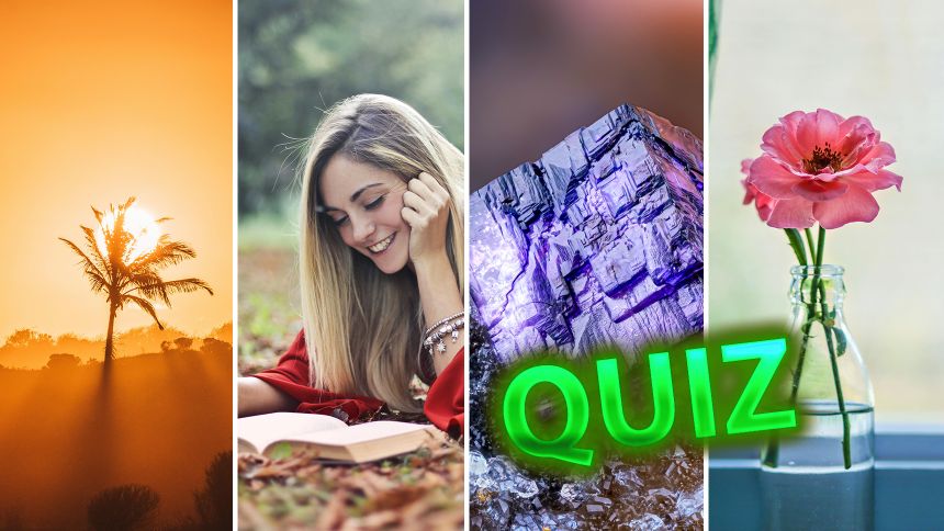 Quiz