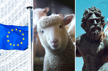 Flaga Unii Europejskiej, Owca, Neptun