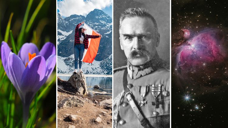 Quiz o wszystkim