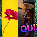 Quiz