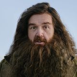 Hagrid - Nick Frost - Harry Potter