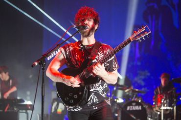 Foals