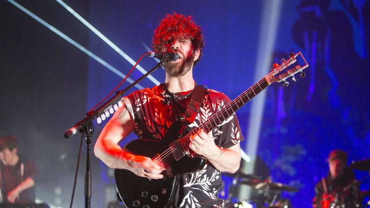 Foals