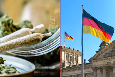 Niemcy legalizują marihuanę