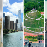 Alpaki, Chicago, Kopiec Kościuszki, samochód ciężarowy