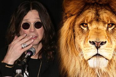 Ozzy