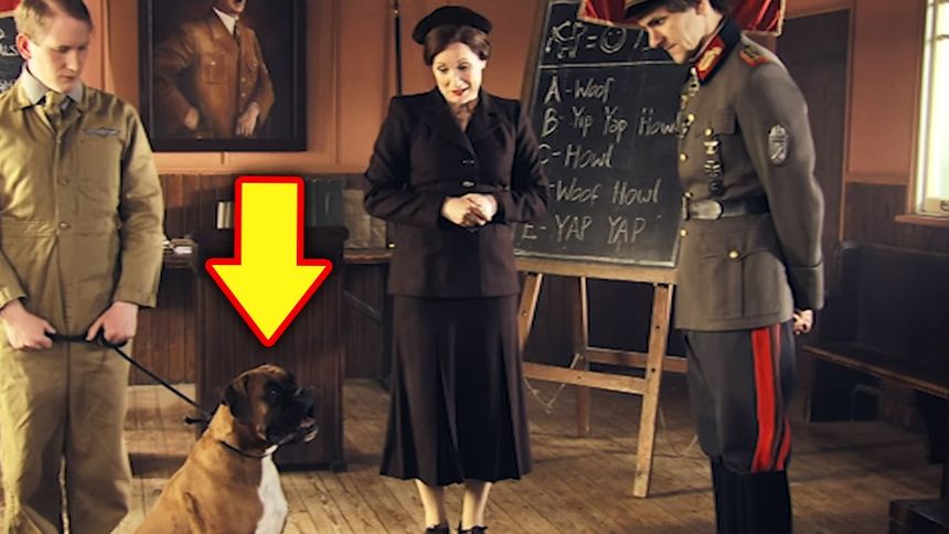 Mówiący pies