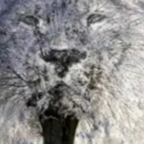 Iluzja zdradzi ukryte cechy charakteru